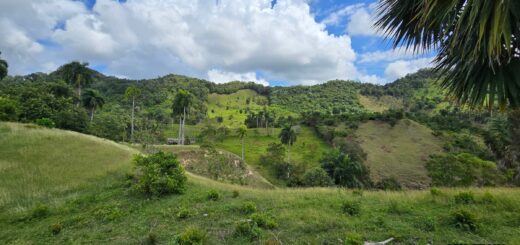 Finca en Puerto Plata