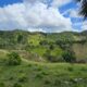 Finca en Puerto Plata
