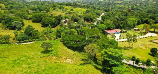 Terreno de venta en Sonador, Puerto Plata